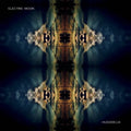 Electric Moon Hugodelia Album Cover