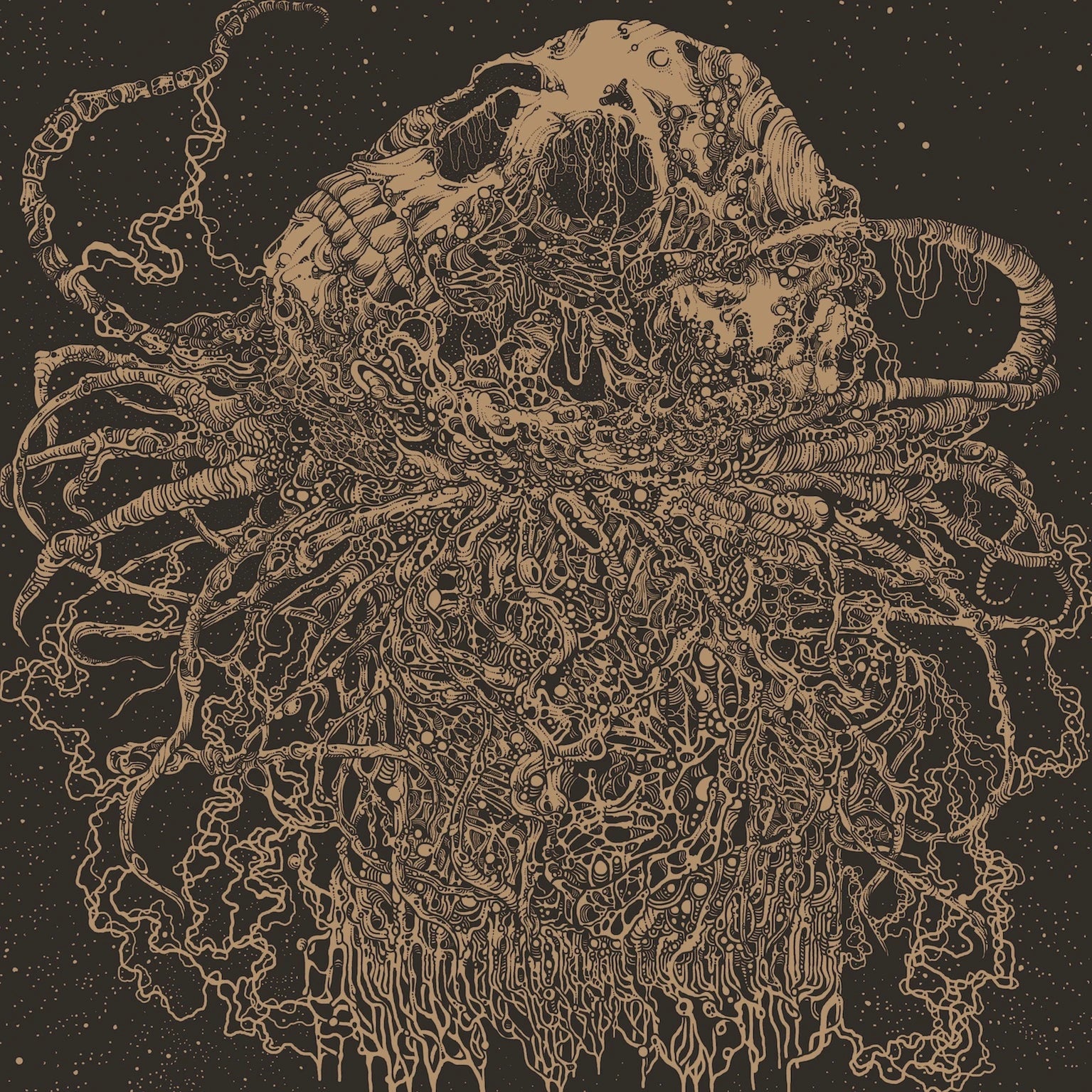 Zone Six Beautiful Album Cover