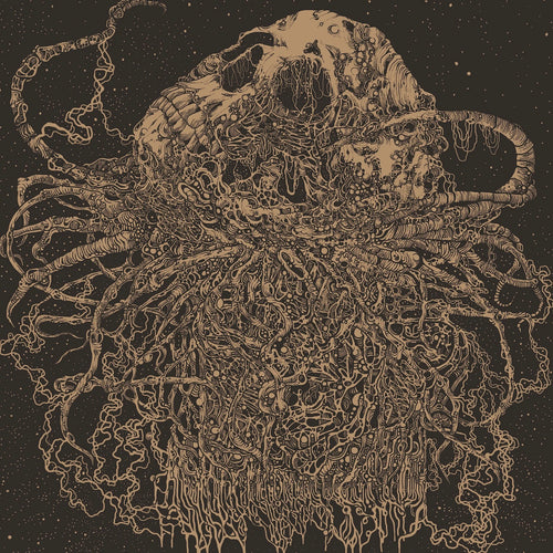 Zone Six Beautiful Album Cover